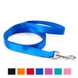 Vibrant Life Solid Nylon Dog Leashes