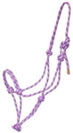 Horse Rope Halter w/ Lead